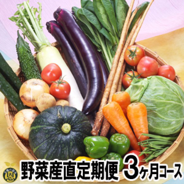 野菜産直定期便　３ヶ月コース　熊本産直センター