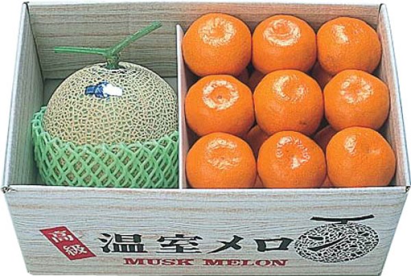 画像1: マスクメロン１玉・みかん２kg (1)